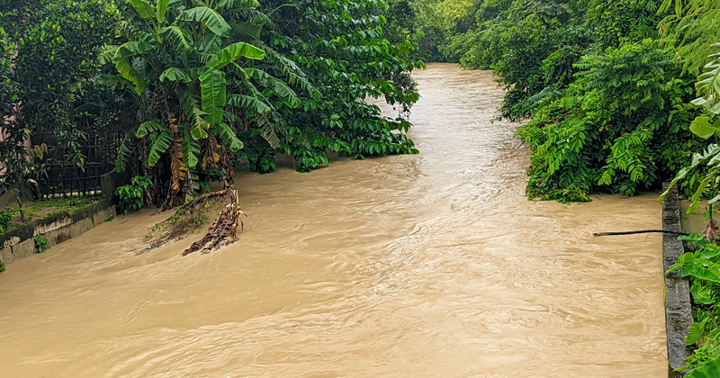 ছবি: প্রতিবেদক