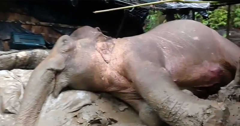 ছবি: প্রতিবেদক