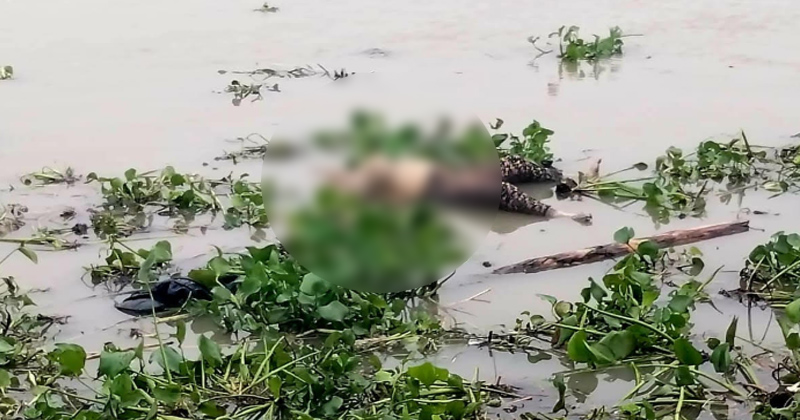 বগুড়ায় যমুনা নদী থেকে অজ্ঞাত নারীর মরদেহ উদ্ধার