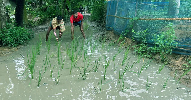 ছবি: প্রতিনিধি