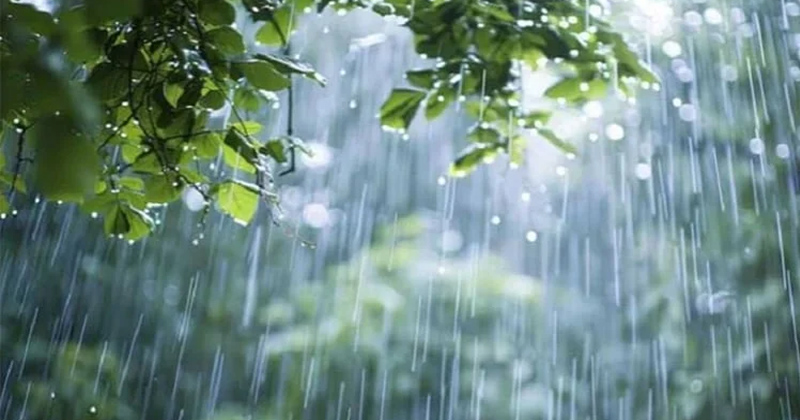 প্রতীকী ছবি