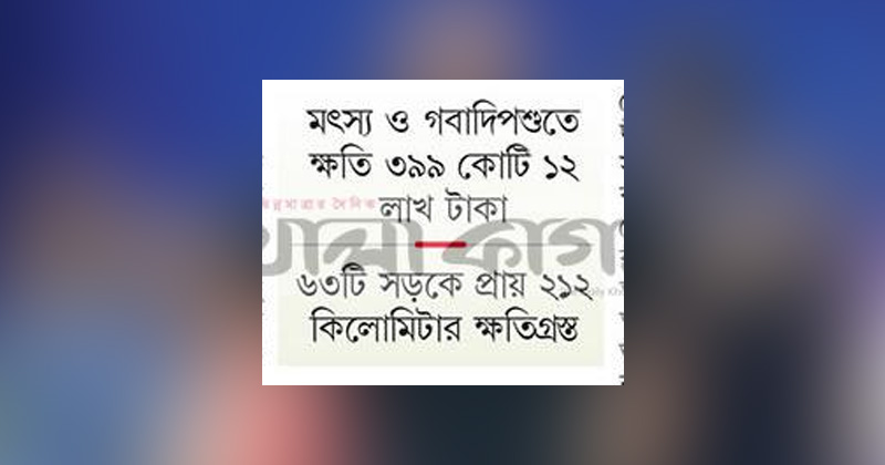 ছবি: খোলা কাগজ