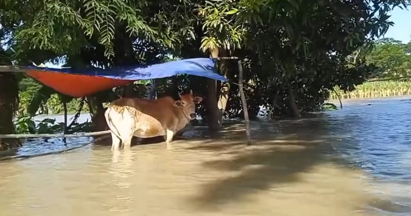 ছবি: প্রতিনিধি