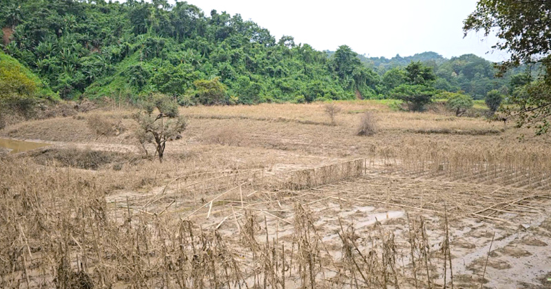 ছবি: প্রতিনিধি