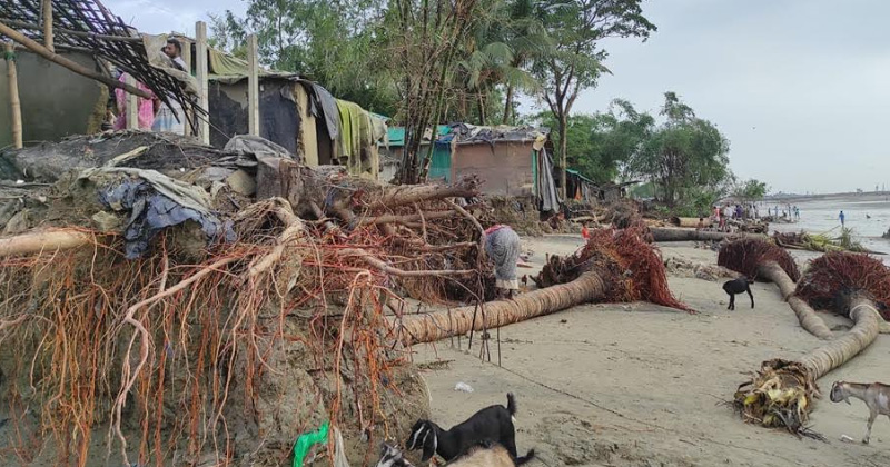 ছবি : খোলা কাগজ