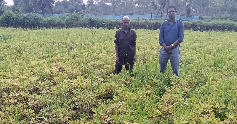 ছবি: প্রতিবেদক