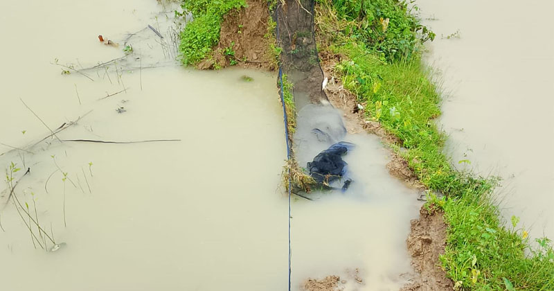 বন্যায় লামায় মৎস্য খাতে ব্যাপক ক্ষয়ক্ষতি