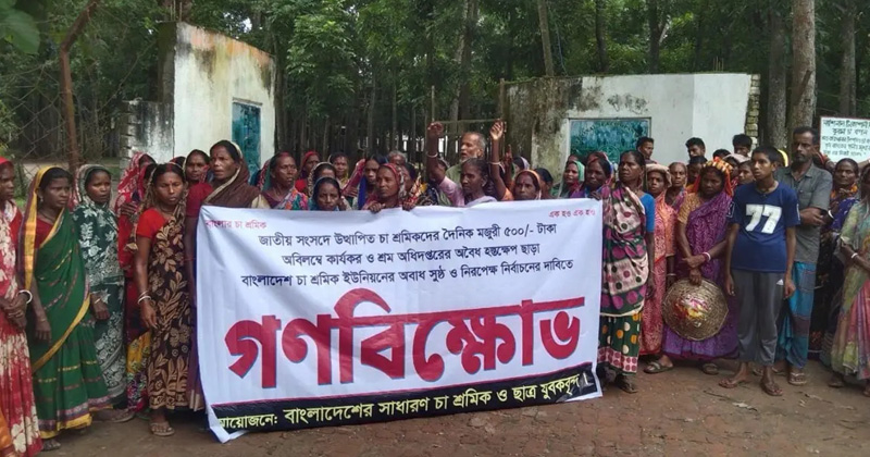 ছবি: প্রতিবেদক