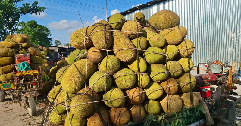 ছবি: প্রতিনিধি