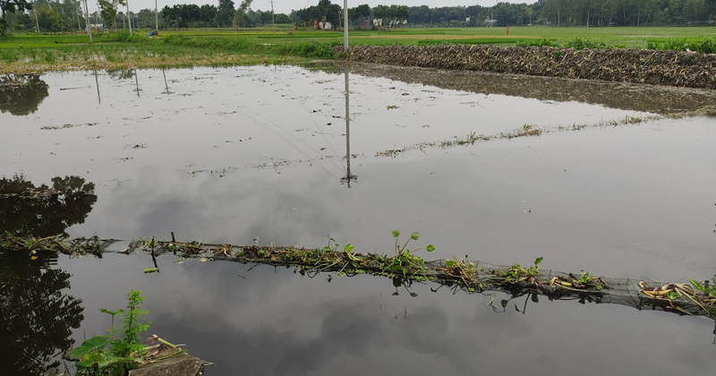 ছবি: প্রতিনিধি
