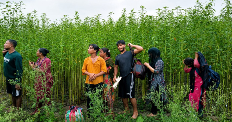 ছবি: প্রতিনিধি