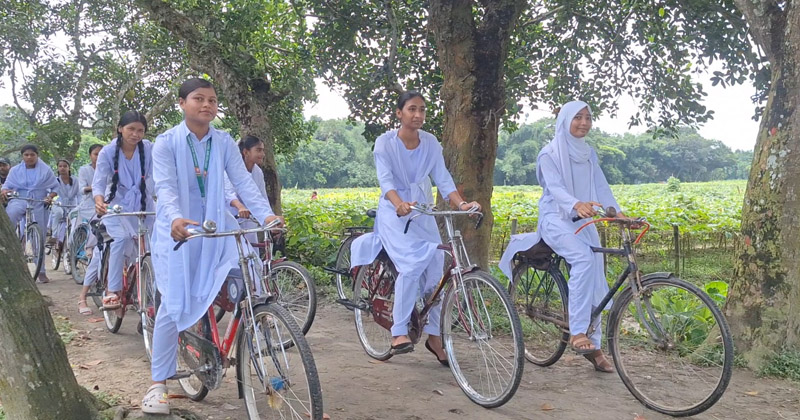 ছবি : খোলা কাগজ