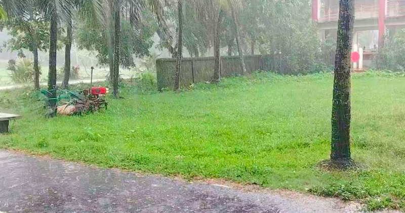 গভীর নিম্নচাপের প্রভাবে দেশের সর্বোচ্চ বৃষ্টিপাত হাতিয়ায়