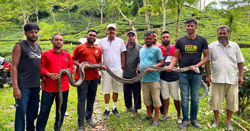 ছবি: প্রতিবেদক