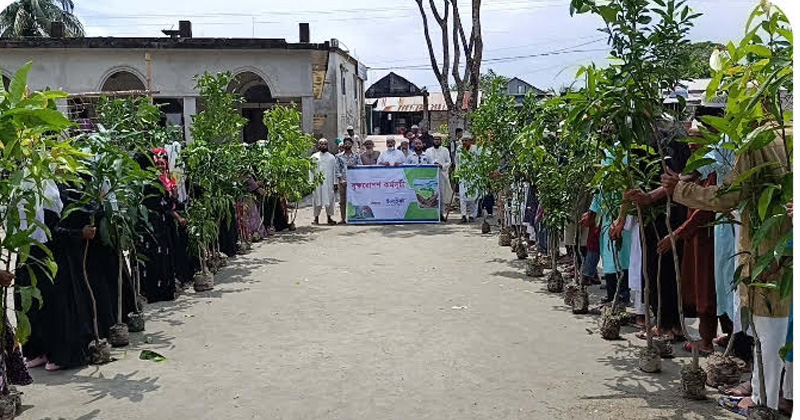 সবুজ ক্যাম্পাস গড়ার প্রত্যয়ে তালতলীতে শিক্ষার্থীদের চারা বিতরণ