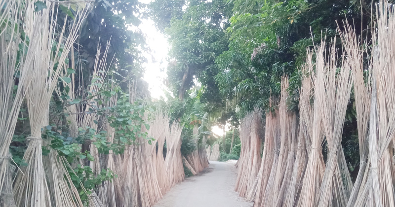 ছবি: প্রতিনিধি