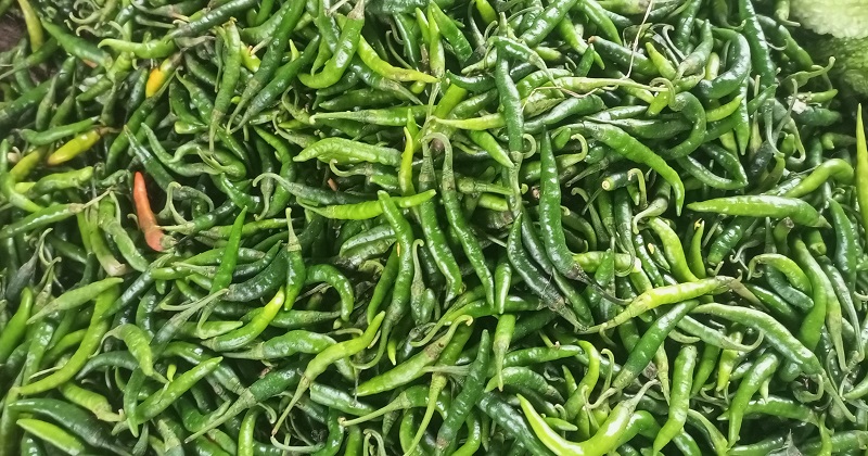 ছবি: খোলা কাগজ