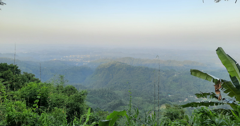 ছবি: প্রতিবেদক