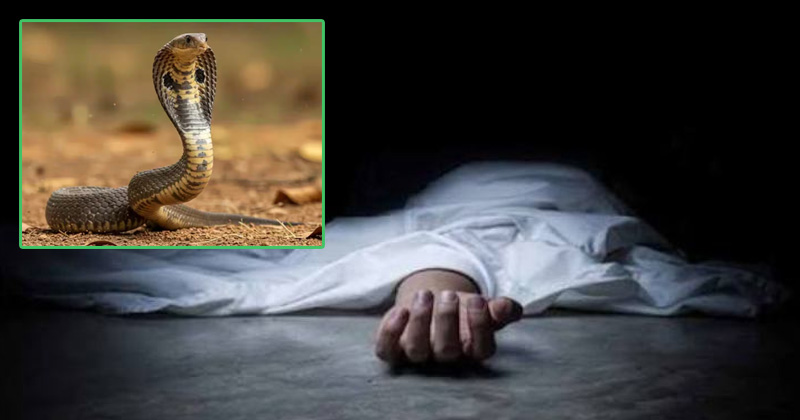 প্রতীকী ছবি