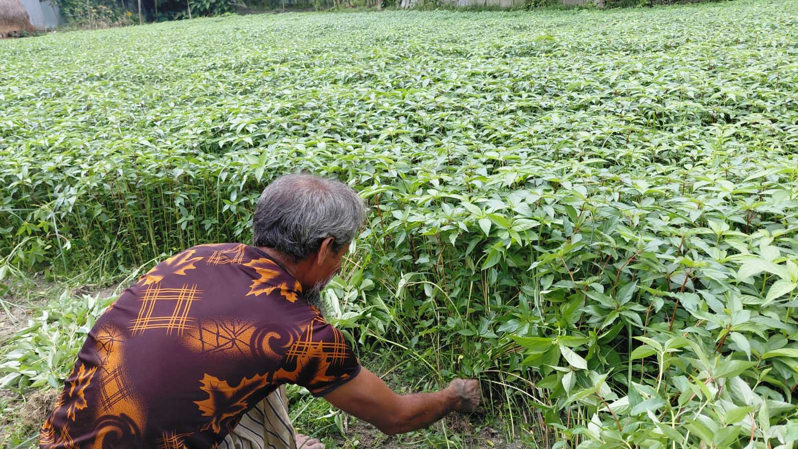 ছবি: প্রতিনিধি
