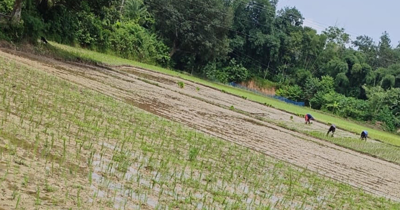 ছবি: প্রতিনিধি