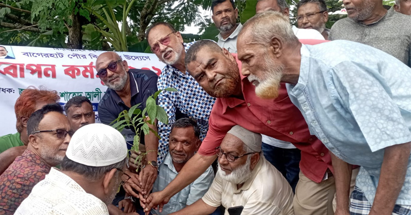 ছবি: প্রতিনিধি