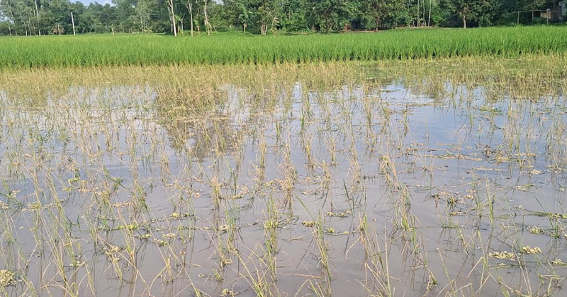 ছবি: প্রতিনিধি
