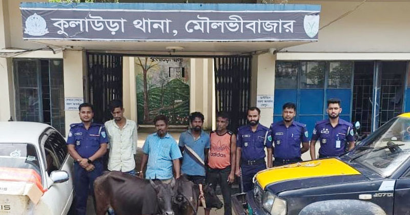 ছবি: প্রতিনিধি