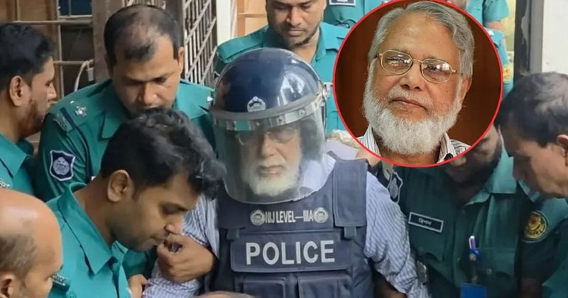 সংগৃহীত ছবি