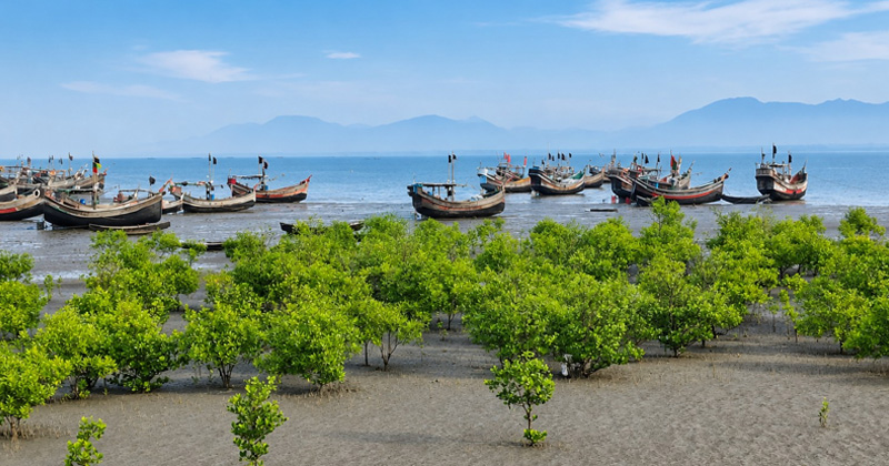 ছবি: প্রতিনিধি