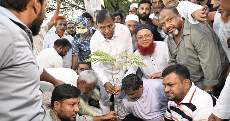 ছবি: খোলা কাগজ