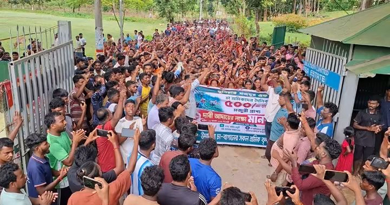 ছবি: প্রতিনিধি