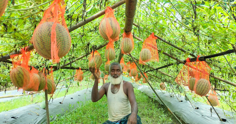 ছবি: প্রতিবেদক