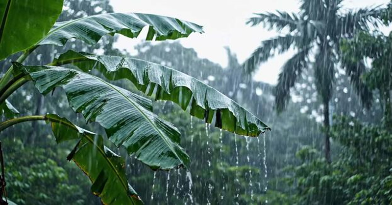 প্রতীকী ছবি