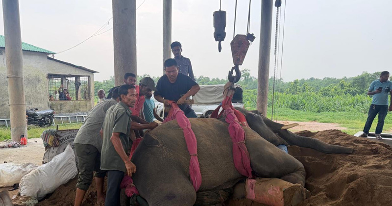 ছবি: প্রতিনিধি
