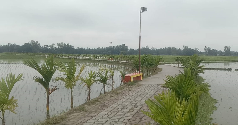 ছবি: প্রতিনিধি