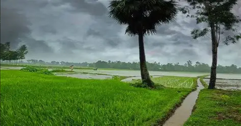 প্রতীকী ছবি