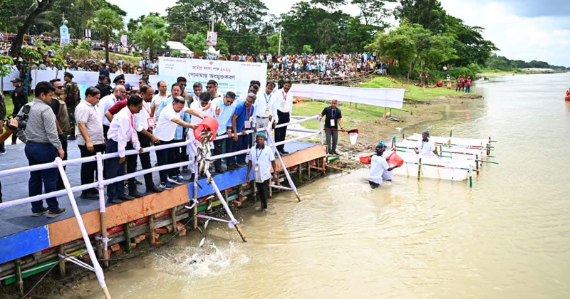 ছবি: প্রতিনিধি