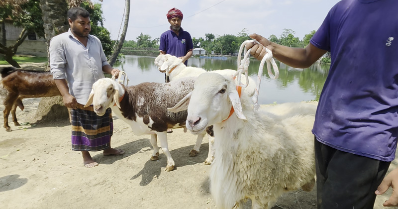 ছবি: প্রতিবেদক