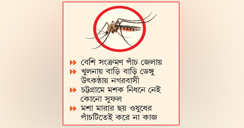 ছবি: খোলা কাগজ 