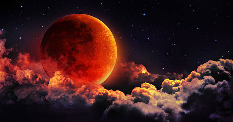 প্রতীকী ছবি
