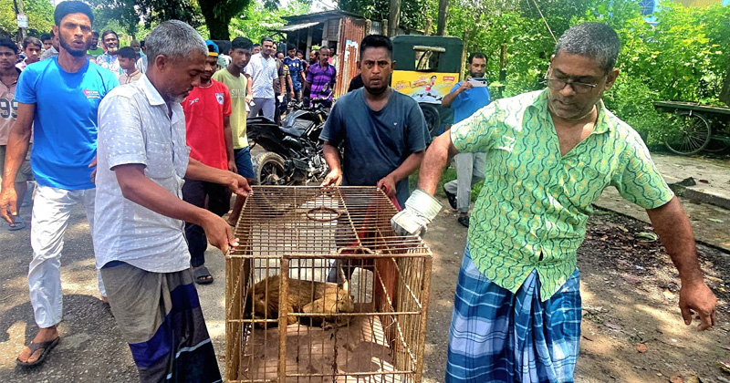 ছবি: প্রতিবেদক