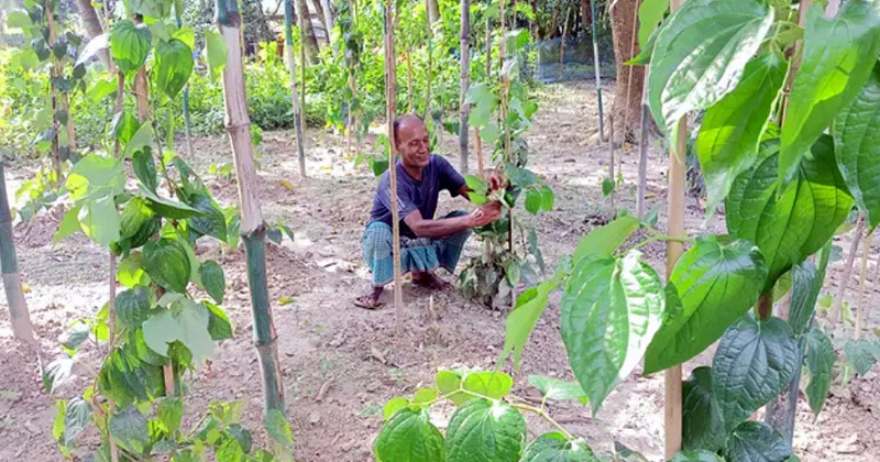 ছবি: প্রতিবেদক