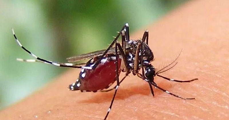 প্রতীকী ছবি