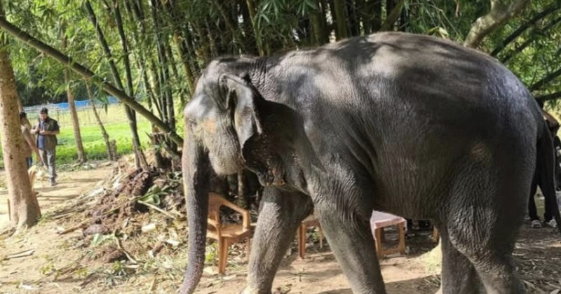 ছবি: প্রতিনিধি