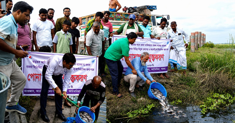 ছবি: প্রতিনিধি