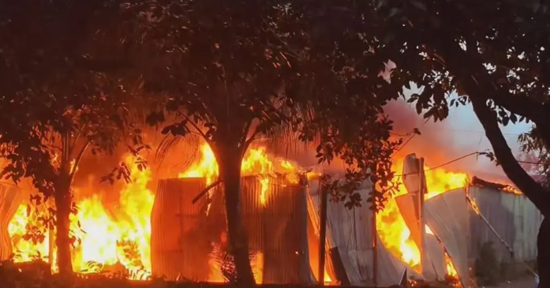 সংগৃহীত ছবি