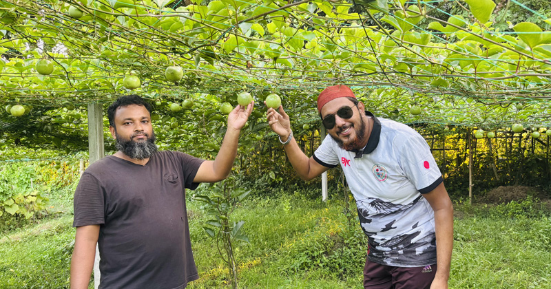 ছবি: প্রতিনিধি