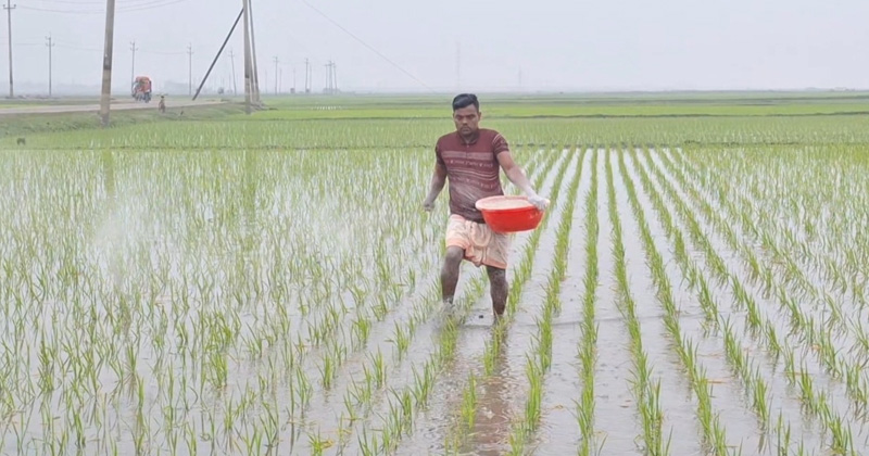 ছবি: প্রতিনিধি