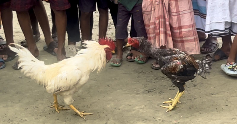 ছবি: প্রতিনিধি